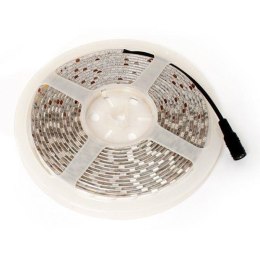 Taśma LED-5050 Abilite b.ciepła 300LED 12V IP65 5m/10mm silikon Abilite
