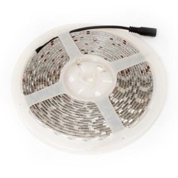 Taśma LED-5050 Abilite b.zimna 300LED 12V IP65 5m/10mm silikon Abilite