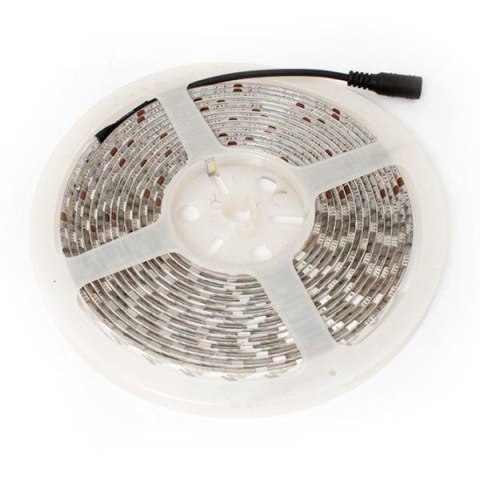 Taśma LED-5050 Abilite b.zimna 300LED 12V IP65 5m/10mm silikon Abilite Taśma LED-5050 Abilite b.zimna 300LED 12V IP65 5m/10mm silikon Abilite
