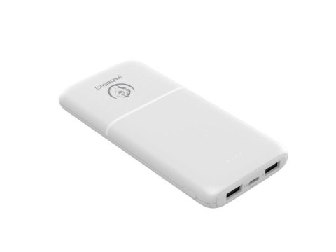 Powerbank Rebeltec P10 (10 000mAh 10W) Rebeltec Powerbank Rebeltec P10 (10 000mAh 10W) Rebeltec
