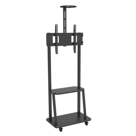 Stojak mobilny Techly 32"-70", 60kg, z półką Techly Stojak mobilny Techly 32"-70", 60kg, z półką Techly