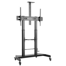 Stojak mobilny Techly 60''-100'', 100kg do Tablic Interatywnych Techly
