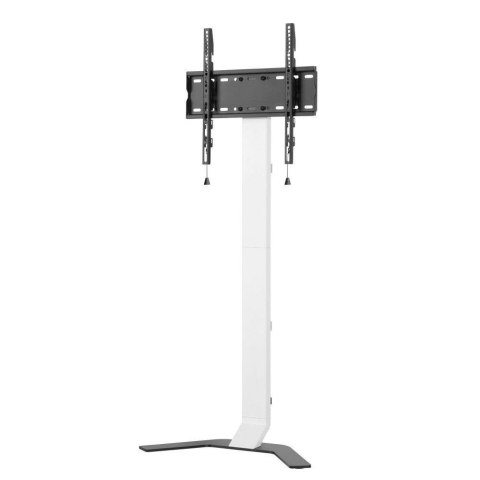 Stojak podłogowy Techly 32"-70" 40kg Slim Techly Stojak podłogowy Techly 32"-70" 40kg Slim Techly