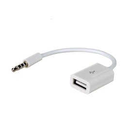 Kabel adapter Akyga AK-AD-24 USB 2.0 A(F) - mini Jack(M) AKYGA