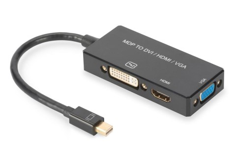 Kabel adapter DIGITUS 3w1 mini DisplayPort 4K 30Hz/1080p 60Hz miniDP/HDMI(UHD)+DVI-I+VGA(FHD) M/Ż 0,2m Digitus Kabel adapter DIGITUS 3w1 mini DisplayPort 4K 30Hz/1080p 60Hz miniDP/HDMI(UHD)+DVI-I+VGA(FHD) M/Ż 0,2m Digitus