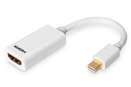 Kabel adapter DIGITUS mini Displayport 1080p 60Hz FHD Typ mini DP/ HDMI M/Ż biały 0,15m Digitus