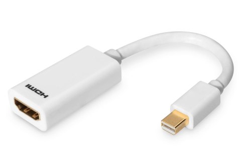 Kabel adapter DIGITUS mini Displayport 1080p 60Hz FHD Typ mini DP/ HDMI M/Ż biały 0,15m Digitus Kabel adapter DIGITUS mini Displayport 1080p 60Hz FHD Typ mini DP/ HDMI M/Ż biały 0,15m Digitus