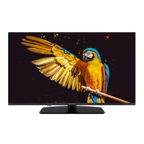 Telewizor GoGEN TVF40M340STWEB 40" GoGEN Telewizor GoGEN TVF40M340STWEB 40" GoGEN