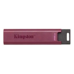 Pendrive Kingston DataTraveler Max 256GB USB 3.2 Gen 2 Kingston