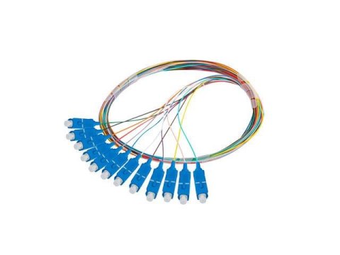 Pigtail światłowodowy Lanberg SM SC/UPC EASY STRIP 9/125 G657A1 12X2M Multikolor LANBERG Pigtail światłowodowy Lanberg SM SC/UPC EASY STRIP 9/125 G657A1 12X2M Multikolor LANBERG