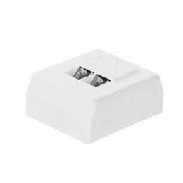 Gniazdo kompletne natynkowe 1xRJ45 8p8c FTP Cat5e Dual Block, skręcane Netrack NETRACK