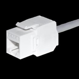 Moduł keystone Jack RJ45 kat. 5e UTP, beznarzędziowy Netrack, biały NETRACK