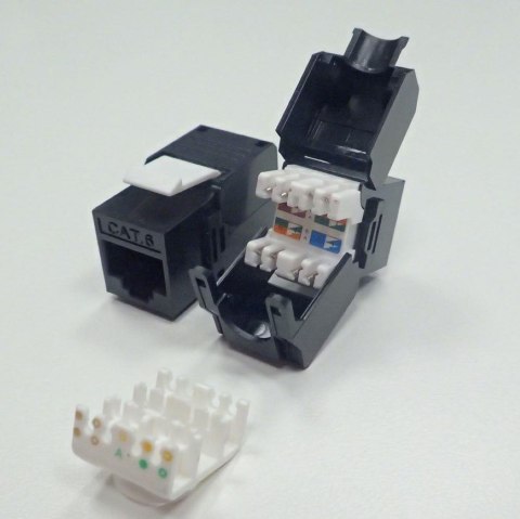 Moduł keystone Jack RJ45 kat. 6 UTP, beznarzędziowy Netrack NETRACK Moduł keystone Jack RJ45 kat. 6 UTP, beznarzędziowy Netrack NETRACK
