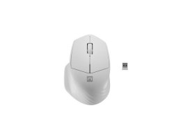 Mysz bezprzewodowa Natec Siskin 2 optyczna 1600 DPI BT 5.0 + 2.4 GHz z cichym klikiem biała Natec