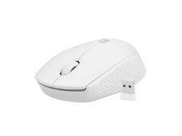Mysz bezprzewodowa Natec Stork optyczna 1600 DPI biała Natec