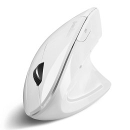 Mysz bezprzewodowa Perixx PERIMICE-813 W optyczna wertykalna pionowa prawa biała RF + BLUETOOTH Perixx