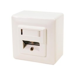 Gniazdo natynkowe/podtynkowe Cat.6 NP0039 LogiLink 2xRJ45 LogiLink
