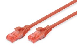 Patchcord DIGITUS UTP kat. 6 0,5m PVC czerwony Digitus