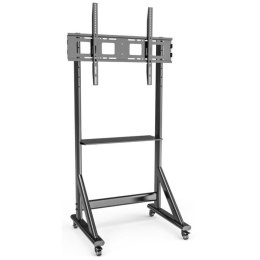 Stojak mobilny Techly TV 55-100
